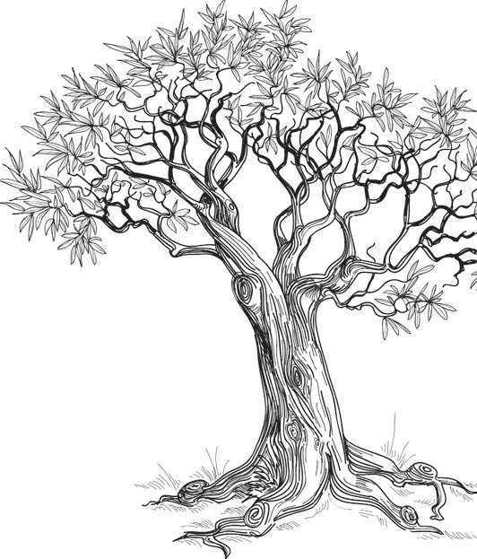 Иллюстрация к книге — Чижик-Пыжик [_127.jpg]