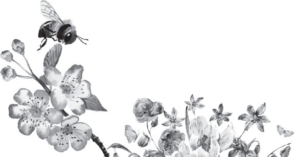 Иллюстрация к книге — Чижик-Пыжик [_130.jpg]