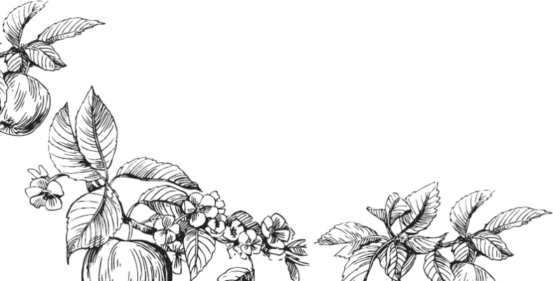 Иллюстрация к книге — Чижик-Пыжик [_138.jpg]