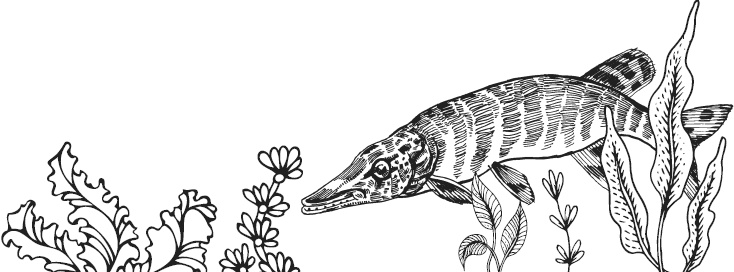 Иллюстрация к книге — Чижик-Пыжик [_15.jpg]