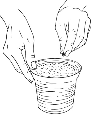 Иллюстрация к книге — Чижик-Пыжик [_23.jpg]