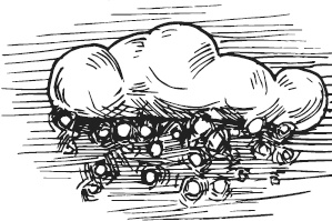 Иллюстрация к книге — Чижик-Пыжик [_25.jpg]