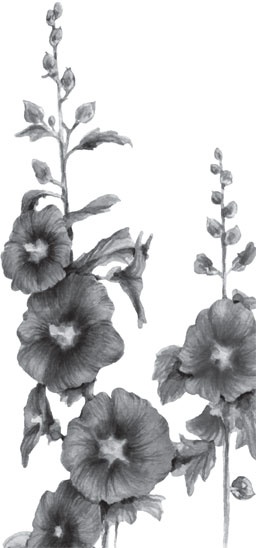 Иллюстрация к книге — Чижик-Пыжик [_31.jpg]