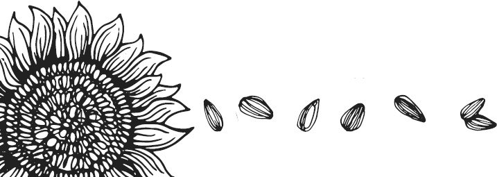 Иллюстрация к книге — Чижик-Пыжик [_32.jpg]