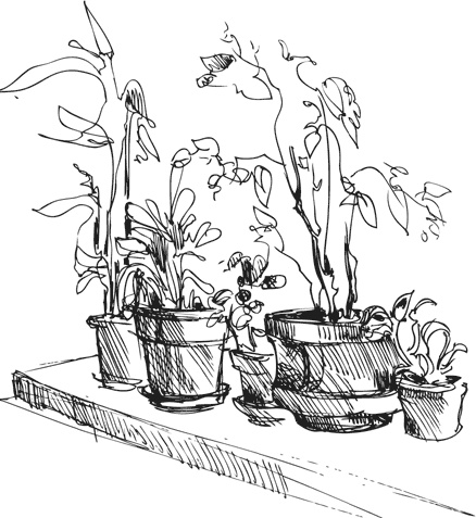 Иллюстрация к книге — Чижик-Пыжик [_37.jpg]