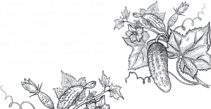 Иллюстрация к книге — Чижик-Пыжик [_39.jpg]