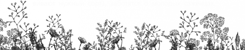 Иллюстрация к книге — Чижик-Пыжик [_40.jpg]