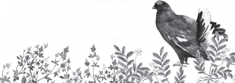 Иллюстрация к книге — Чижик-Пыжик [_43.jpg]