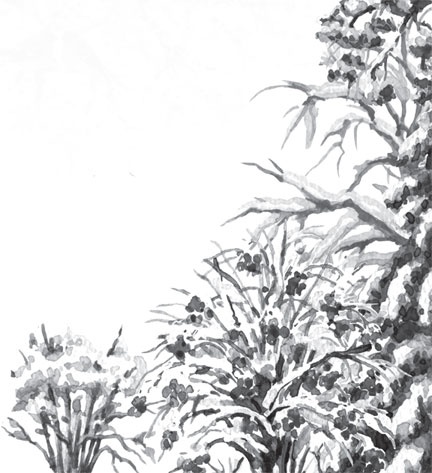 Иллюстрация к книге — Чижик-Пыжик [_45.jpg]