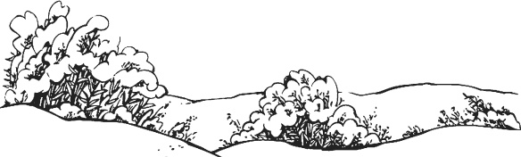 Иллюстрация к книге — Чижик-Пыжик [_5.jpg]