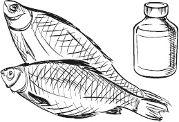 Иллюстрация к книге — Чижик-Пыжик [_54.jpg]