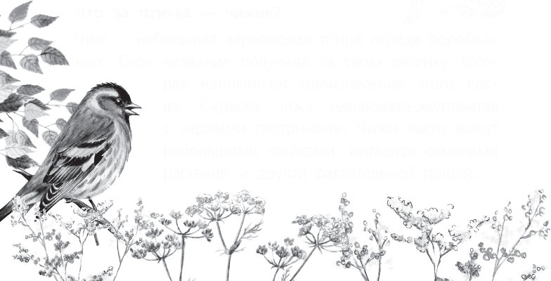 Иллюстрация к книге — Чижик-Пыжик [_57.jpg]