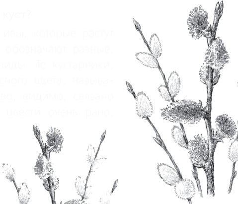 Иллюстрация к книге — Чижик-Пыжик [_58.jpg]