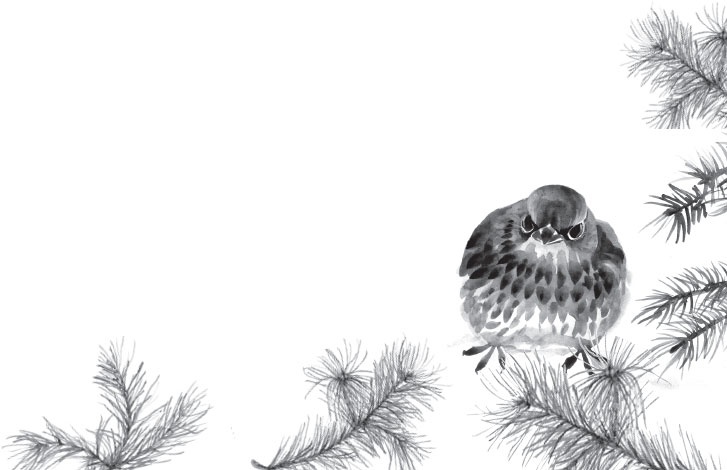 Иллюстрация к книге — Чижик-Пыжик [_6.jpg]