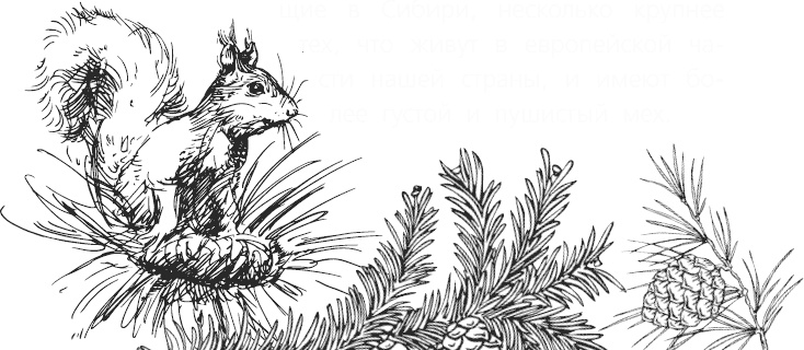 Иллюстрация к книге — Чижик-Пыжик [_63.jpg]