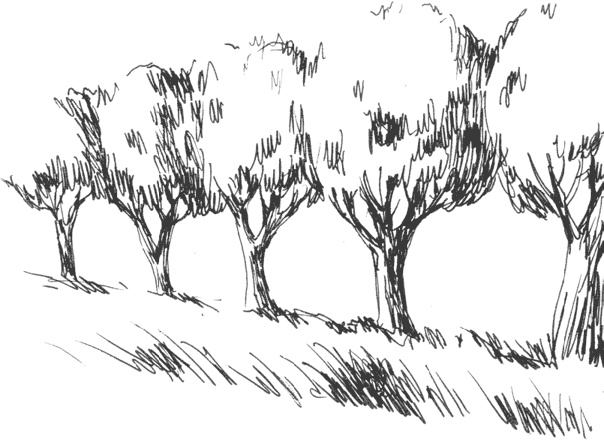 Иллюстрация к книге — Чижик-Пыжик [_66.jpg]