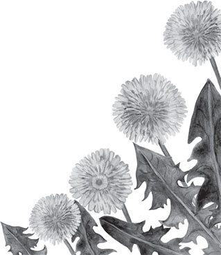 Иллюстрация к книге — Чижик-Пыжик [_80.jpg]