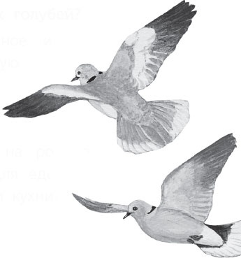 Иллюстрация к книге — Чижик-Пыжик [_89.jpg]