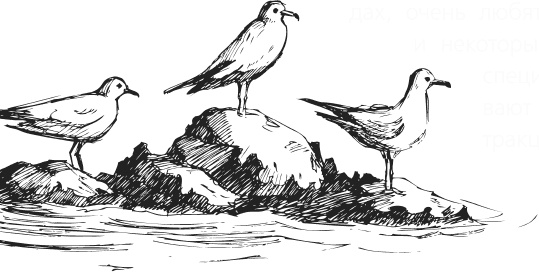 Иллюстрация к книге — Чижик-Пыжик [_94.jpg]