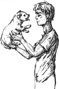 Иллюстрация к книге — Чижик-Пыжик [_98.jpg]