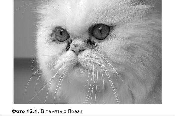 Иллюстрация к книге — Agile-менеджмент. Лидерство и управление командами [i_075.jpg]