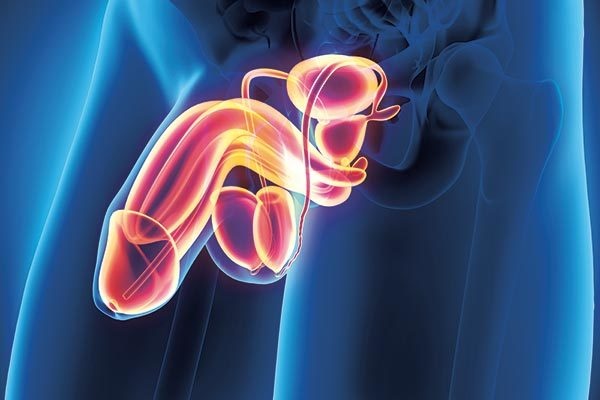 Иллюстрация к книге — Голая. Правда о том, как быть настоящей женщиной [i_064.jpg]