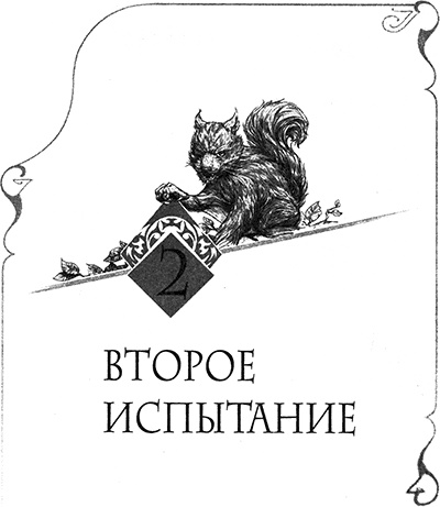 Иллюстрация к книге — Творец Заклинаний [img_003.jpg]