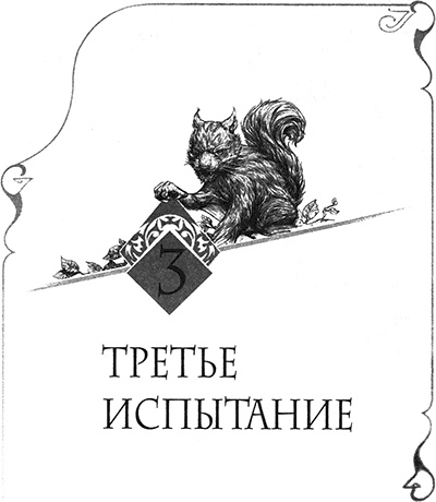 Иллюстрация к книге — Творец Заклинаний [img_004.jpg]