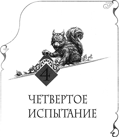 Иллюстрация к книге — Творец Заклинаний [img_005.jpg]