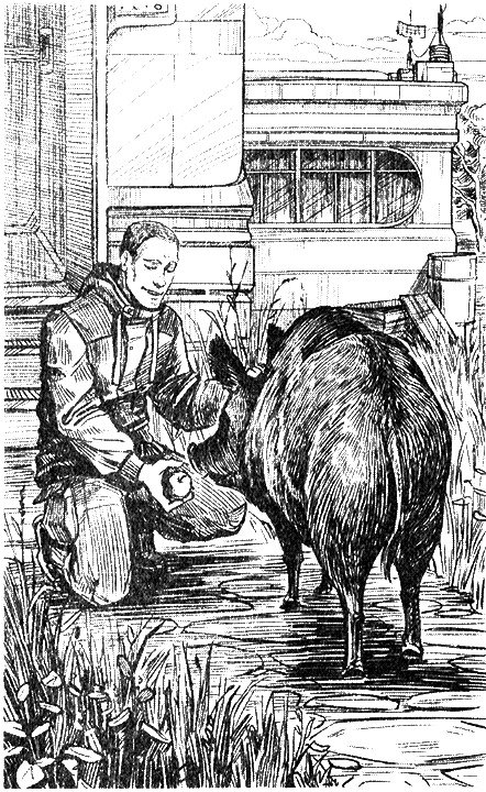 Иллюстрация к книге — Киборг и его лесник [i_003.jpg]