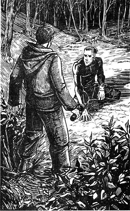 Иллюстрация к книге — Киборг и его лесник [i_004.jpg]