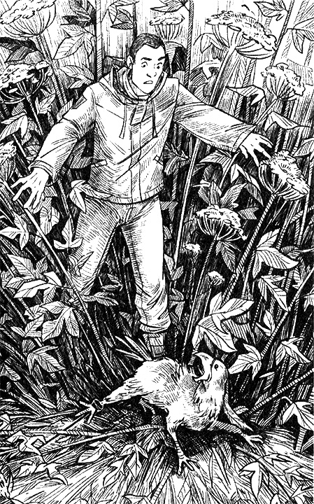 Иллюстрация к книге — Киборг и его лесник [i_020.jpg]