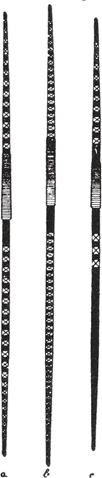 Иллюстрация к книге — Печальные тропики [i_016.jpg]