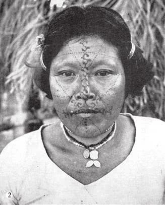 Иллюстрация к книге — Печальные тропики [i_031.jpg]