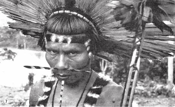 Иллюстрация к книге — Печальные тропики [i_036.jpg]