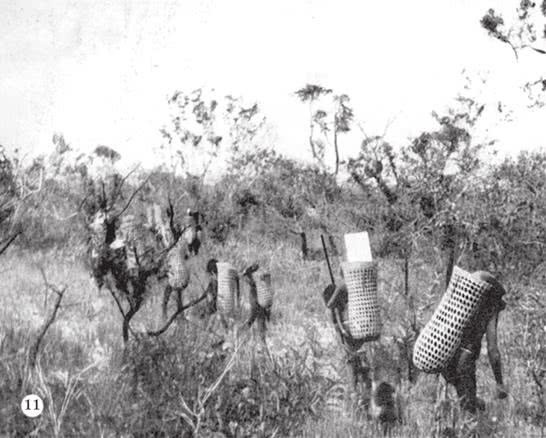 Иллюстрация к книге — Печальные тропики [i_040.jpg]