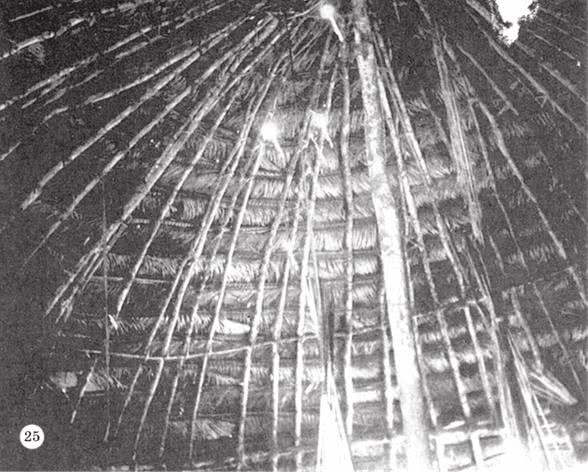 Иллюстрация к книге — Печальные тропики [i_053.jpg]