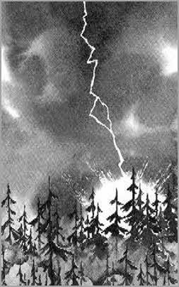 Иллюстрация к книге — Тунгусский метеорит и загадки кометы Галлея [i_011.jpg]