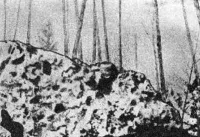 Иллюстрация к книге — Тунгусский метеорит и загадки кометы Галлея [i_018.jpg]