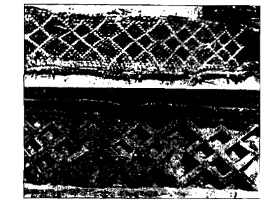 Иллюстрация к книге — Конец времен. Новый взгляд на пророчества майя [i_098.jpg]