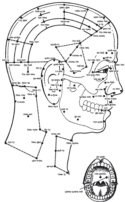Иллюстрация к книге — Лечебные точки организма: нормализуем давление и облегчаем невралгию [i_002.jpg]