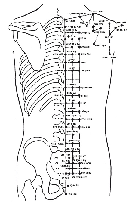 Иллюстрация к книге — Лечебные точки организма: нормализуем давление и облегчаем невралгию [i_003.jpg]