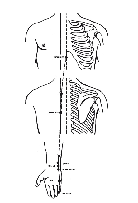 Иллюстрация к книге — Лечебные точки организма: нормализуем давление и облегчаем невралгию [i_007.jpg]