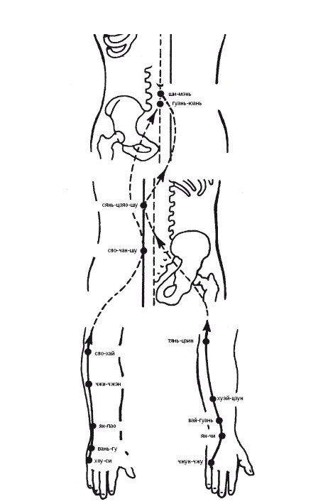 Иллюстрация к книге — Лечебные точки организма: нормализуем давление и облегчаем невралгию [i_009.jpg]