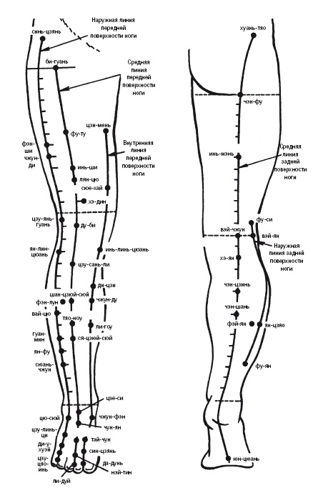 Иллюстрация к книге — Лечебные точки организма: нормализуем давление и облегчаем невралгию [i_010.jpg]