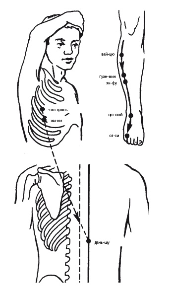 Иллюстрация к книге — Лечебные точки организма: нормализуем давление и облегчаем невралгию [i_012.jpg]