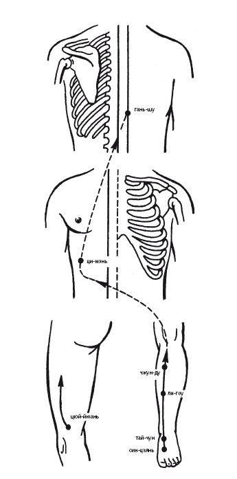 Иллюстрация к книге — Лечебные точки организма: нормализуем давление и облегчаем невралгию [i_014.jpg]