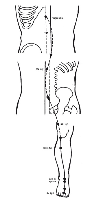 Иллюстрация к книге — Лечебные точки организма: нормализуем давление и облегчаем невралгию [i_017.jpg]