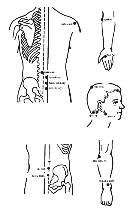 Иллюстрация к книге — Лечебные точки организма: нормализуем давление и облегчаем невралгию [i_032.jpg]
