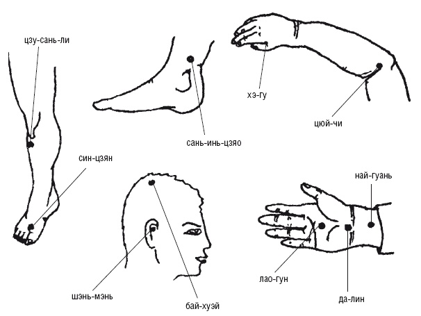 Иллюстрация к книге — Лечебные точки организма: нормализуем давление и облегчаем невралгию [i_050.jpg]
